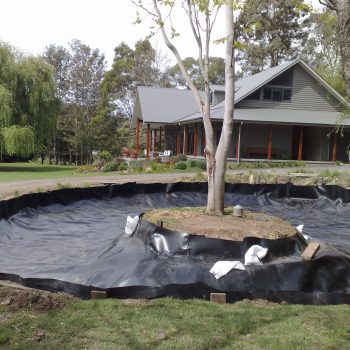 ornamentalpond3