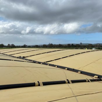 biogas